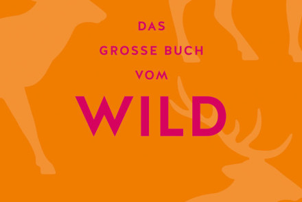 Das große Buch vom Wild